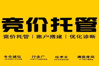 某行业sem代运营推广公司成功案例分析